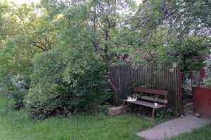 Primăria Bălănești