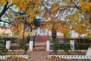 Primăria Bălășești