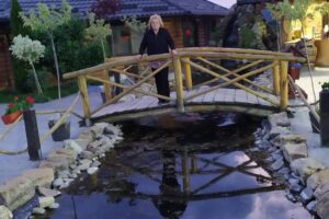 Primăria Berchișești