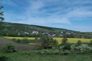 Primăria Bogdănița