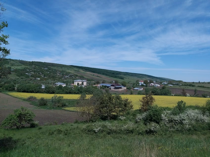 Primăria Bogdănița