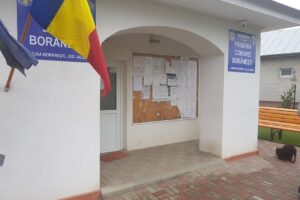 Primăria Borăneşti