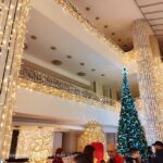 Primăria Călărași