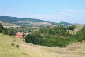 Primăria Căpușu Mare