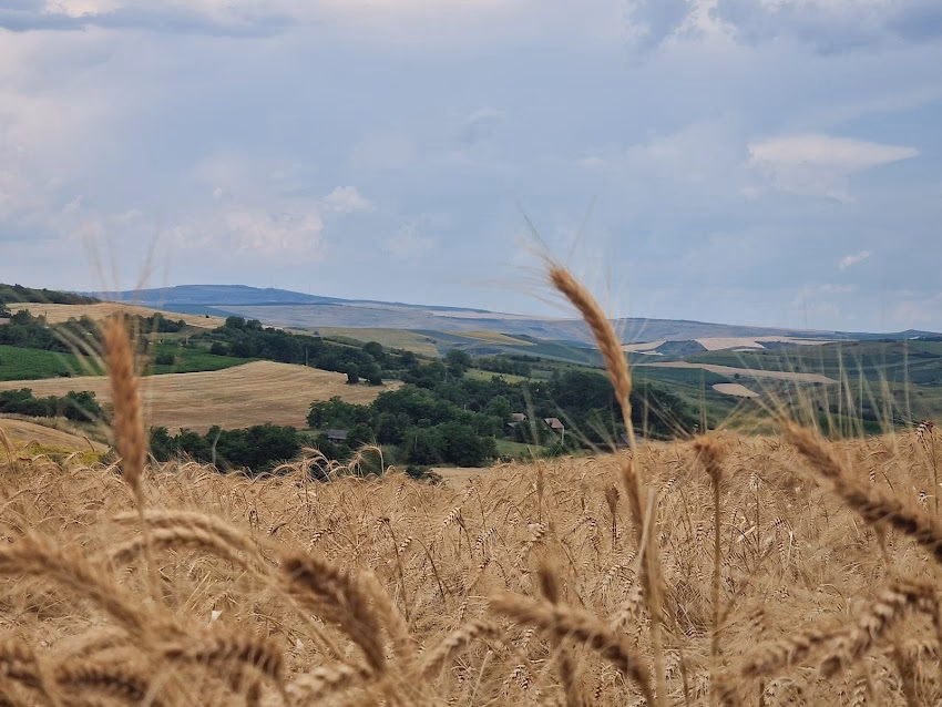 Primăria Ceanu Mare