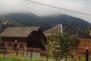 Primăria Ciuruleasa