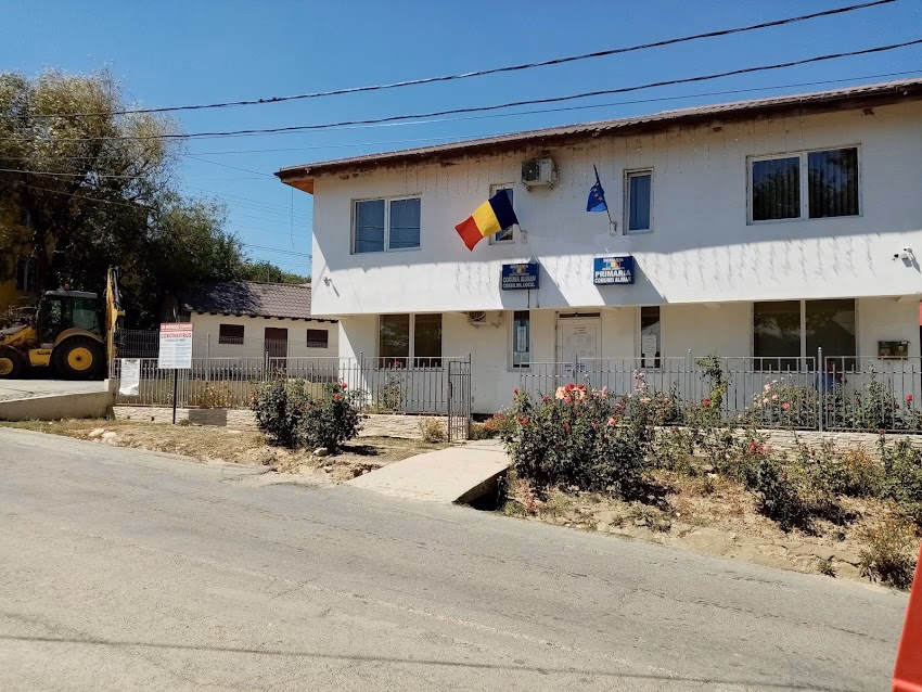 Primaria Comunei Aliman