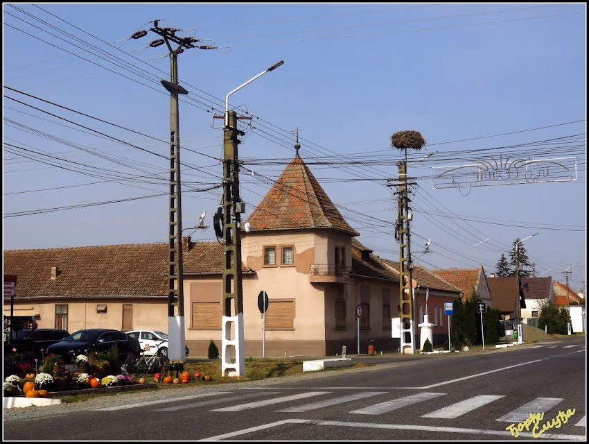 Primăria comunei Biled