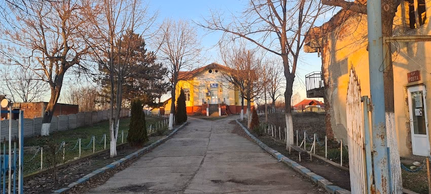 Primaria comunei Burila Mare