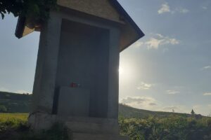 Primaria Comunei Iana