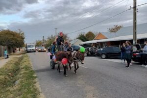 Primaria comunei Luciu