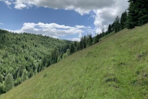 Primaria Comunei MoldovaSuliţa