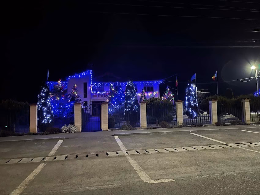 Primăria Comunei Negrilești