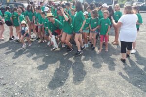 Primăria Comunei Niculițel