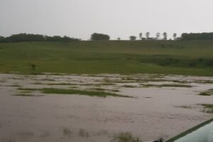 Primăria Comunei RădăuțiPrut