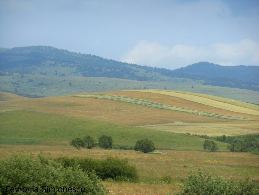 Primăria Comunei Sândominic