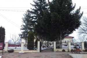 Primăria Comunei Secuieni