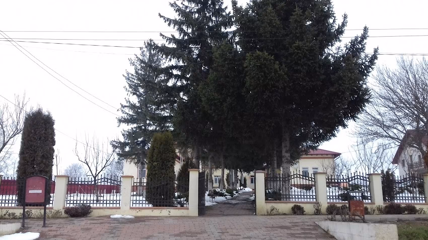 Primăria Comunei Secuieni