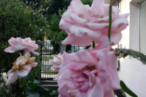 Primăria Comunei Valea Lungă