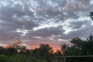 Primăria Comunei Vânători