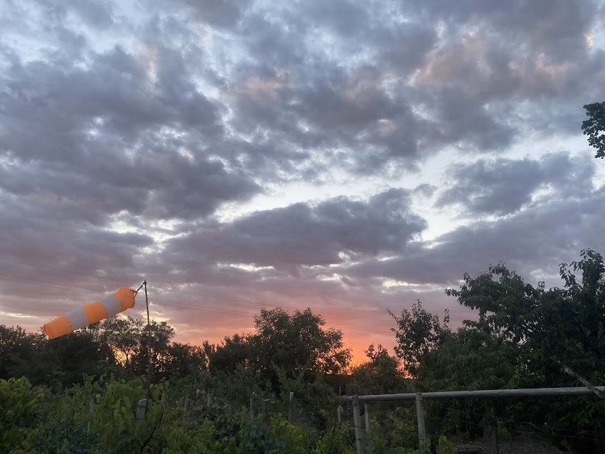 Primăria Comunei Vânători