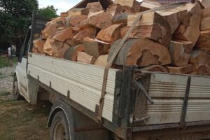 Primăria Coțofănești