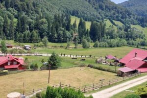 Primăria Cuzdrioara