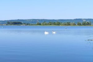 Primăria Dobroteasa