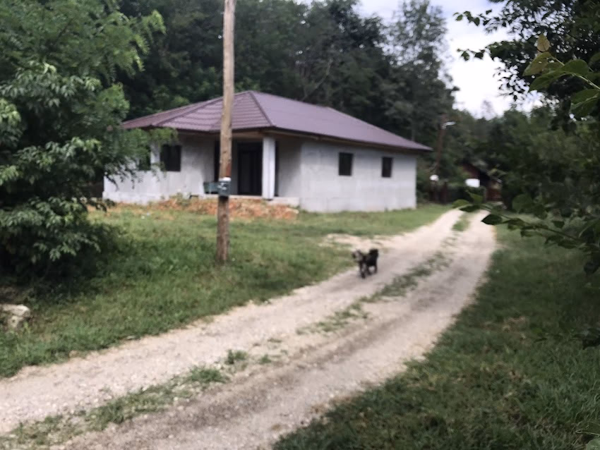 Primăria Dragodana