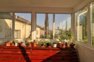 Primăria Drăgușeni