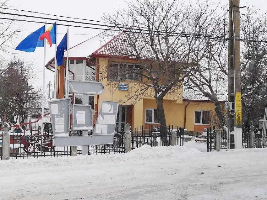 Primăria Drăguşeni