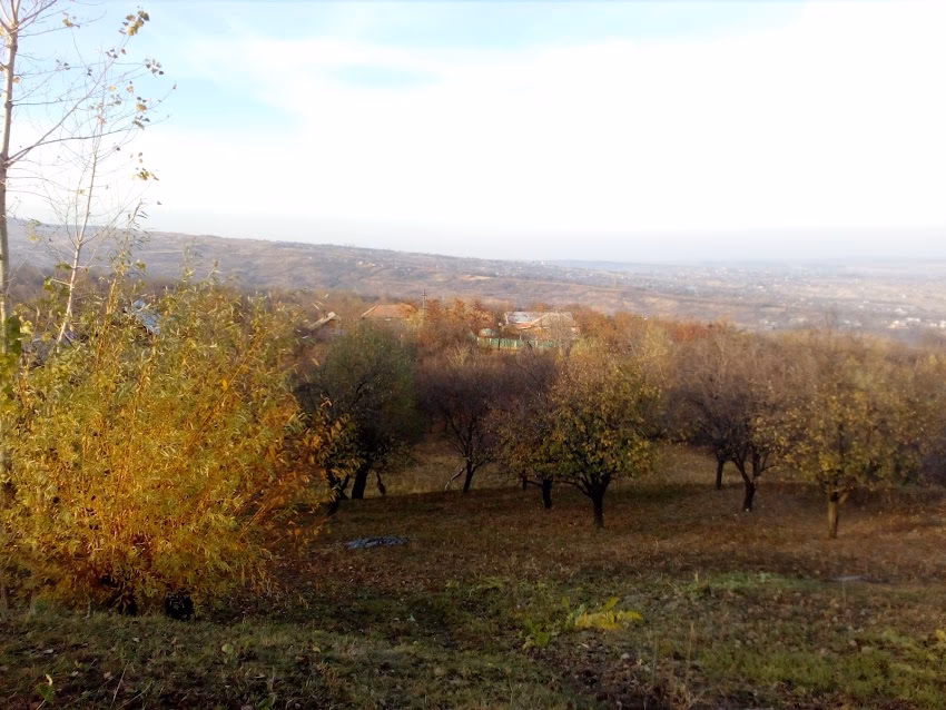 Primăria Frumușica