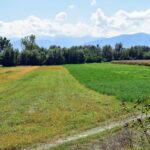 Primăria General Berthelot