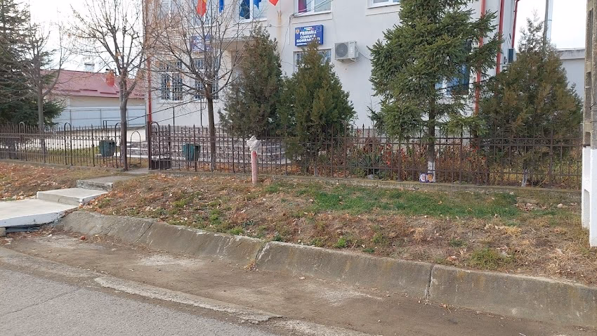 Primăria Gorbănești