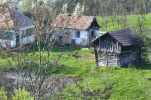 Primăria Lăpuşata