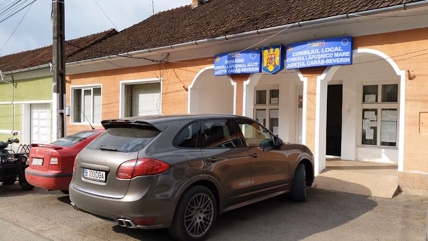 Primăria Lăpușnicu Mare
