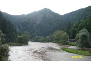 Primăria Lunca Bradului