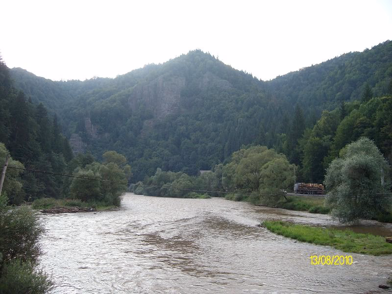 Primăria Lunca Bradului
