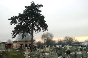 Primăria Mătăsaru