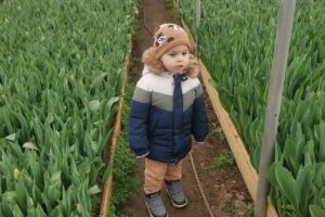 Primăria Mihai Eminescu