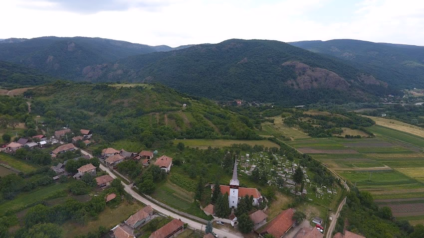 Primăria Moldovenești