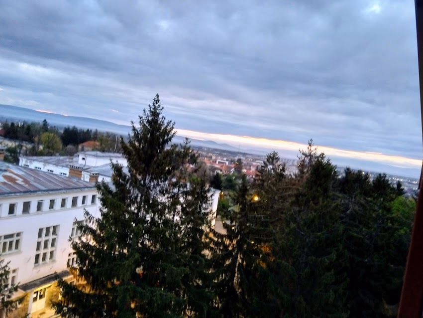 Primăria Municipiului Sfântu Gheorghe