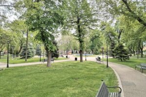 Primăria Municipului Băilești