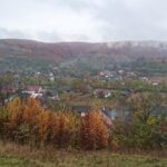 Primăria Negrilești