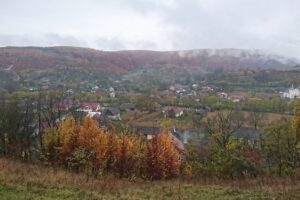 Primăria Negrilești