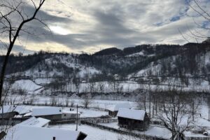 Primăria Nistorești