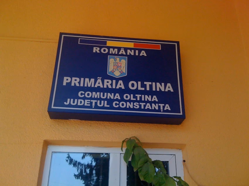 Primăria Oltina