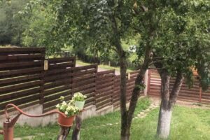 Primăria Oraşului Broșteni