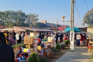 Primaria Orașului Budeşti