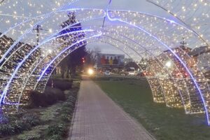 Primăria Orașului ChișineuCriș